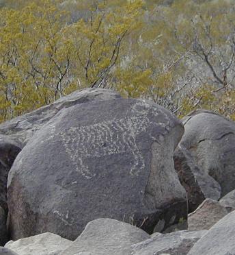 petroglyph